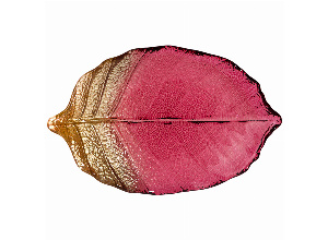 Блюдо leaf bordeaux 21см